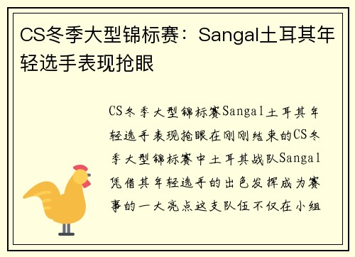 CS冬季大型锦标赛：Sangal土耳其年轻选手表现抢眼